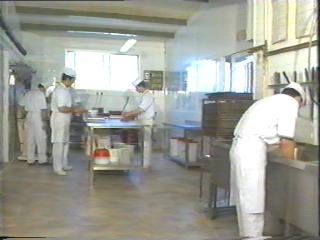 horno 08  ALIMENTOS ELABORACION